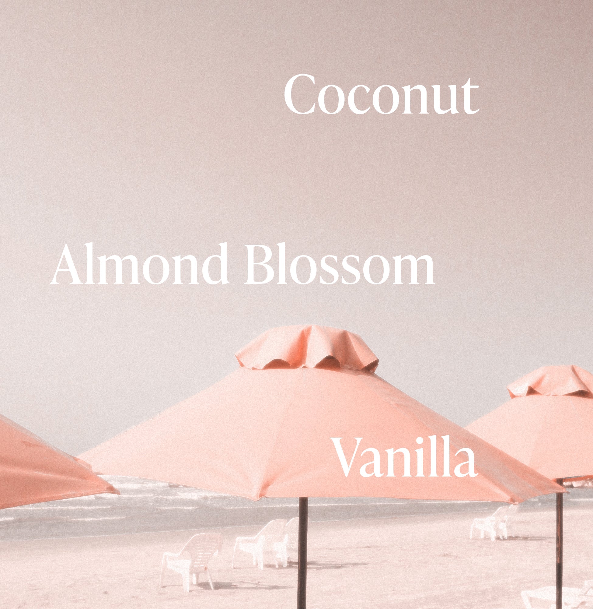Pink Beach - Body Butter