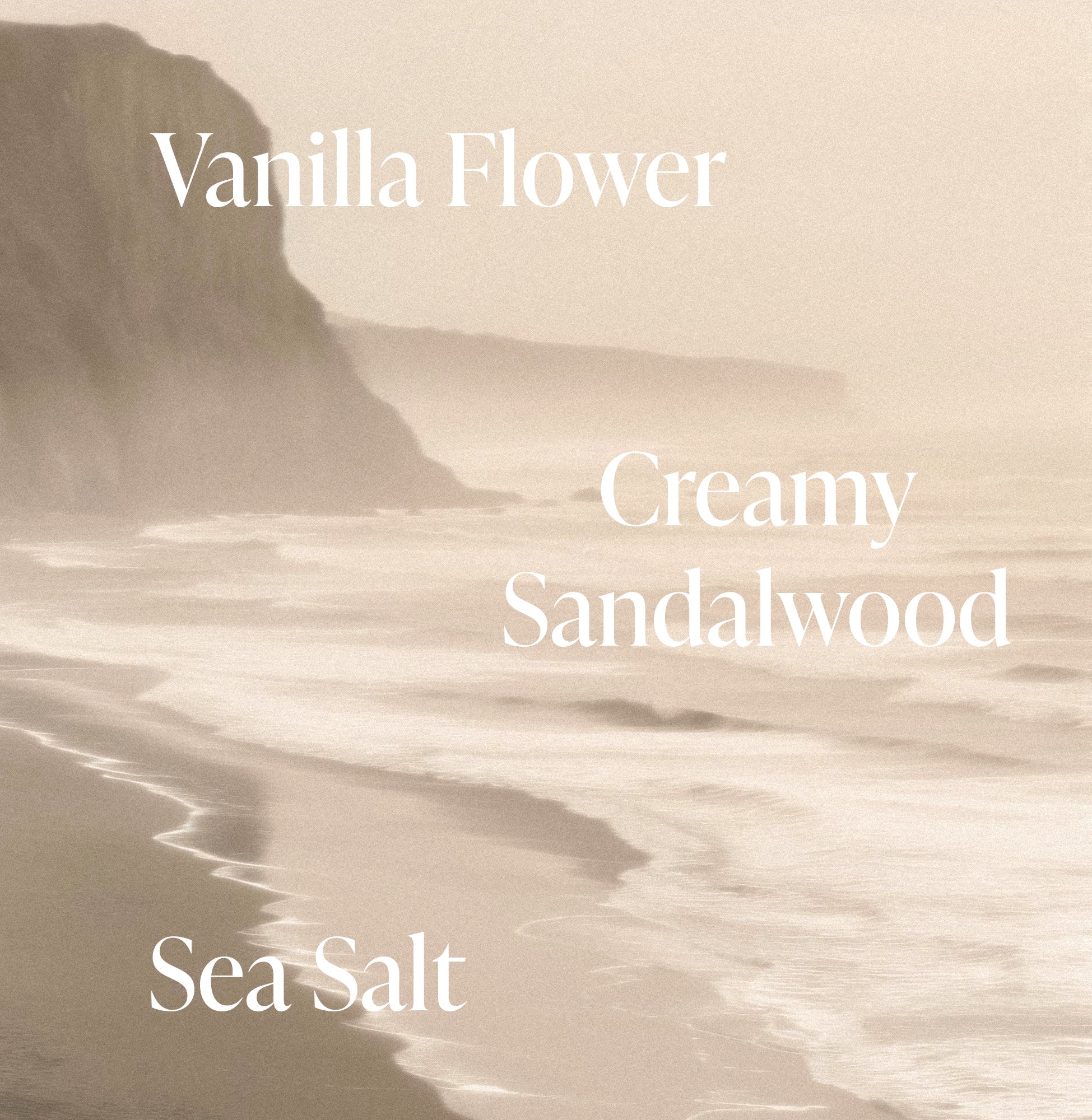 Salt Water Vanilla - Essentials Set