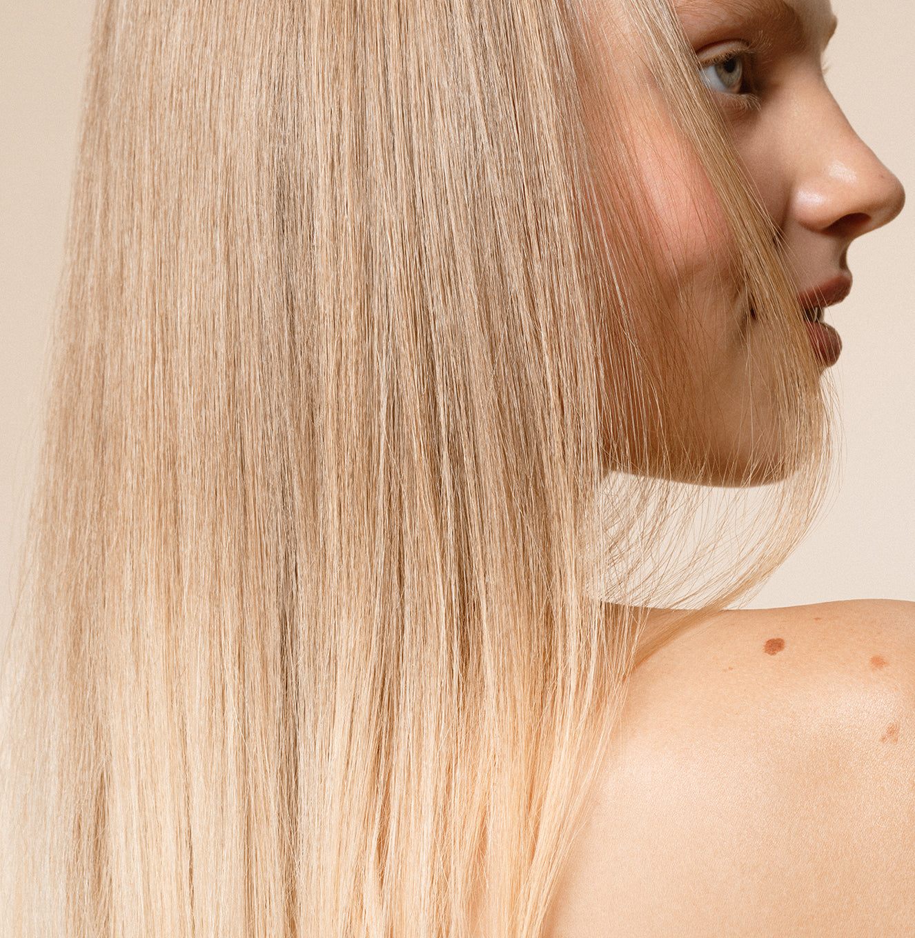Moisture Bound - Hair Oil Light