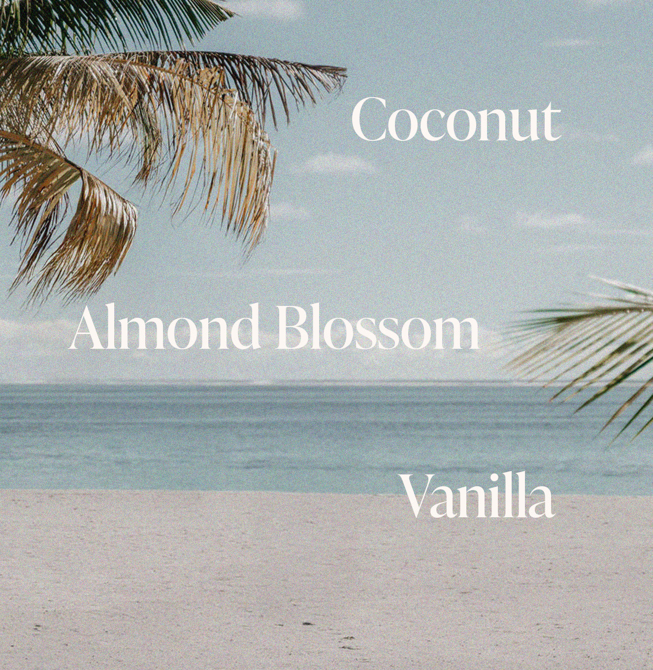 Pink Beach - Shimmering Body Oil